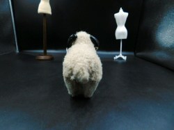 white sheep bk